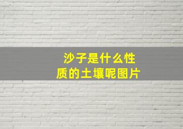 沙子是什么性质的土壤呢图片