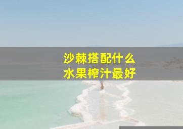 沙棘搭配什么水果榨汁最好