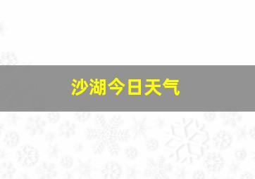 沙湖今日天气