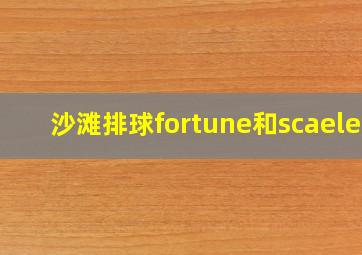 沙滩排球fortune和scaelet