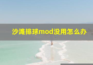 沙滩排球mod没用怎么办