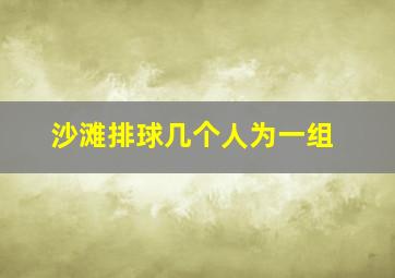 沙滩排球几个人为一组