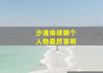 沙滩排球哪个人物最厉害啊