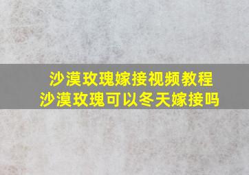 沙漠玫瑰嫁接视频教程沙漠玫瑰可以冬天嫁接吗