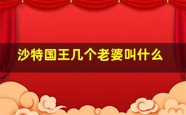 沙特国王几个老婆叫什么