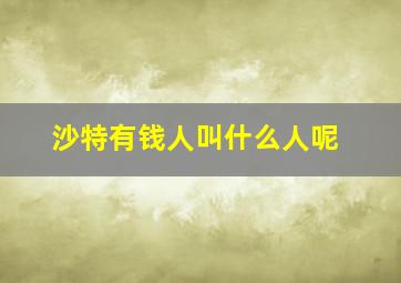 沙特有钱人叫什么人呢