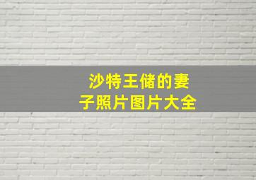 沙特王储的妻子照片图片大全