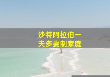 沙特阿拉伯一夫多妻制家庭