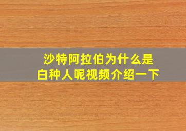 沙特阿拉伯为什么是白种人呢视频介绍一下