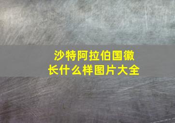 沙特阿拉伯国徽长什么样图片大全