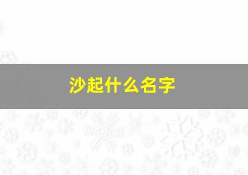 沙起什么名字