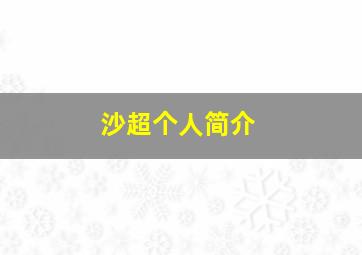 沙超个人简介