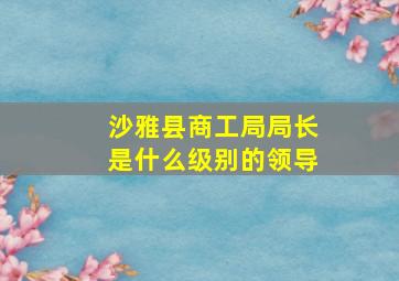 沙雅县商工局局长是什么级别的领导