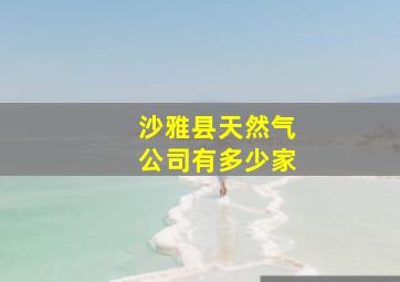 沙雅县天然气公司有多少家