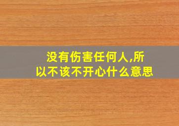 没有伤害任何人,所以不该不开心什么意思