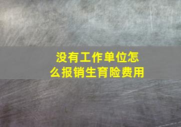 没有工作单位怎么报销生育险费用