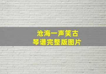 沧海一声笑古琴谱完整版图片