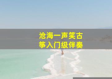 沧海一声笑古筝入门级伴奏