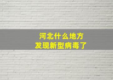 河北什么地方发现新型病毒了