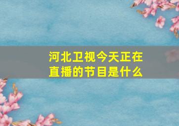 河北卫视今天正在直播的节目是什么