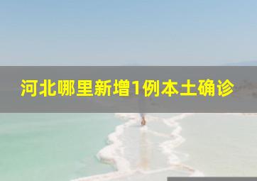 河北哪里新增1例本土确诊