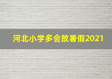 河北小学多会放暑假2021