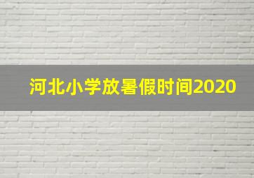 河北小学放暑假时间2020