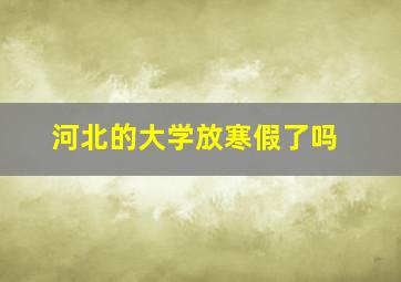 河北的大学放寒假了吗