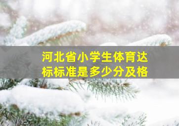 河北省小学生体育达标标准是多少分及格