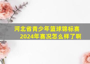 河北省青少年篮球锦标赛2024年赛况怎么样了啊