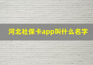 河北社保卡app叫什么名字