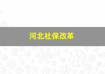 河北社保改革