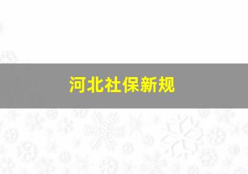 河北社保新规