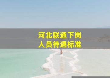 河北联通下岗人员待遇标准