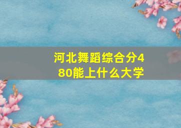 河北舞蹈综合分480能上什么大学