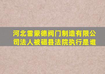 河北雷蒙德阀门制造有限公司法人被磁县法院执行是谁