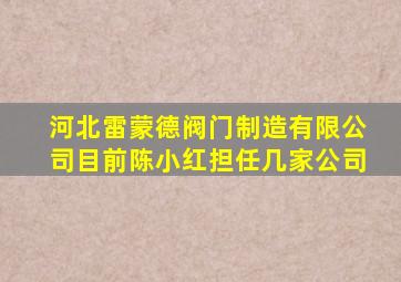 河北雷蒙德阀门制造有限公司目前陈小红担任几家公司