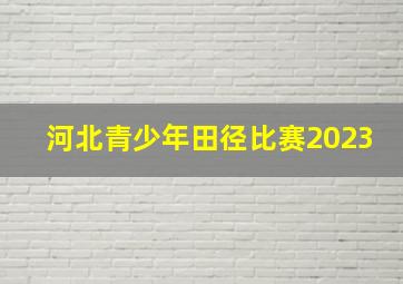 河北青少年田径比赛2023