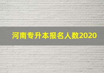 河南专升本报名人数2020