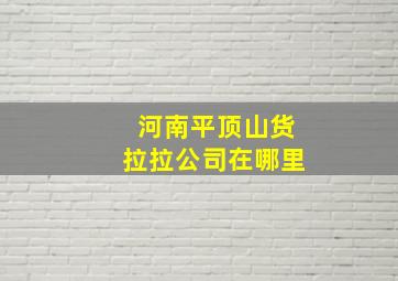 河南平顶山货拉拉公司在哪里