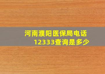 河南濮阳医保局电话12333查询是多少