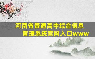 河南省普通高中综合信息管理系统官网入口www