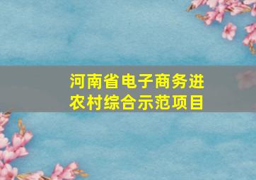 河南省电子商务进农村综合示范项目