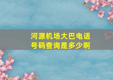 河源机场大巴电话号码查询是多少啊