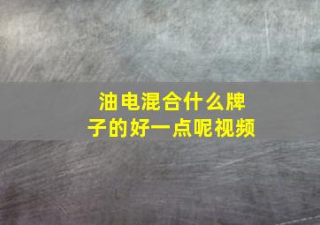 油电混合什么牌子的好一点呢视频