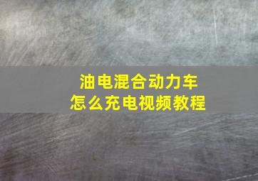 油电混合动力车怎么充电视频教程