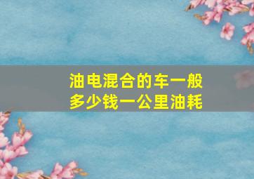 油电混合的车一般多少钱一公里油耗