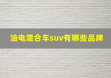 油电混合车suv有哪些品牌