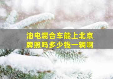 油电混合车能上北京牌照吗多少钱一辆啊