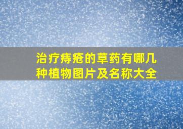 治疗痔疮的草药有哪几种植物图片及名称大全